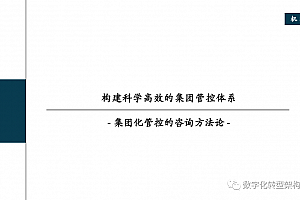 构建科学高效的集团管控体系-集团化管控的咨询方法论,全38页