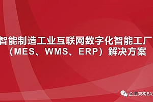 65页原始PPTX文件:《智能制造工业互联网数字化智能工厂(MES、WMS、ERP)解决方案》