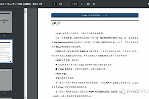 Togaf9.2中文版