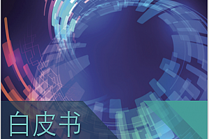 《基于Togaf10的价值流驱动方法》和《结合使用Togaf10与IT4IT标准》,压缩包
