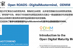 华为数字化转型框架DigitalMastermind和华为数字化成熟度模型ODMM(英文原版)