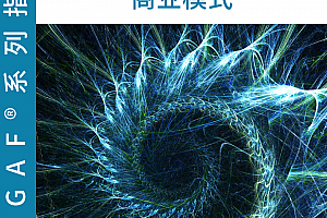 Togaf10中文版-系列指南之《商业模式》