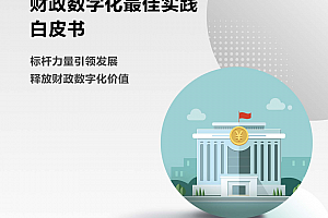 华为:财政数字化最佳实践白皮书