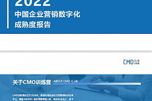 2022中国企业营销数字化成熟度报告