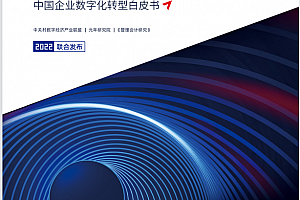 成就数据驱动型企业:中国企业数字化转型白皮书