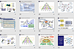 领域架构:财务域-SAP集团财务管控整体方案
