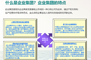 详解集团企业管控模式方法论.pdf,63页