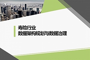 寿险行业数据架构规划与数据治理,附案例.PPTX