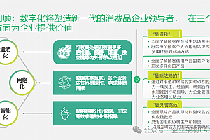 波士顿咨询:国内某快消品企业数字化转型案例赏析,97页可编辑PPTX文件
