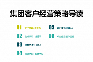 大型集团客户经营策略及集团管控解决方案,附110页案例