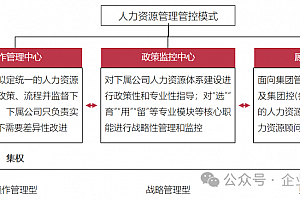 大型集团人力资源管控体系设计,附101页PPTX真实案例