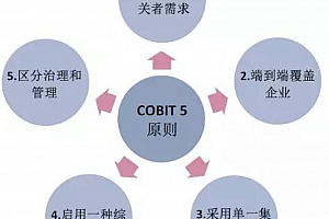 IT治理框架Cobit5的核心原则及示例,附COBIT5中文版(109页PDF文件)