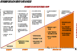 成为卓越的战略咨询师:能力模型、工具方法与实战思维,附146页案例。