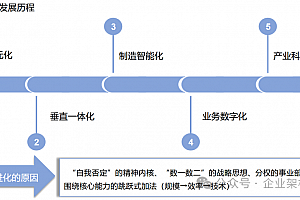 美的的高效运营哲学:数字化如何重塑管理、战略与执行?附美的高效运营72页PPT