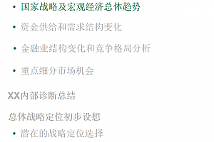 五年战略规划怎么做?来看一家资产管理公司的真功夫,附知名外企方案,BSD117页PPT