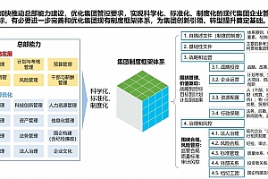 大型集团管控制度与流程体系的系统解读,附61页案例